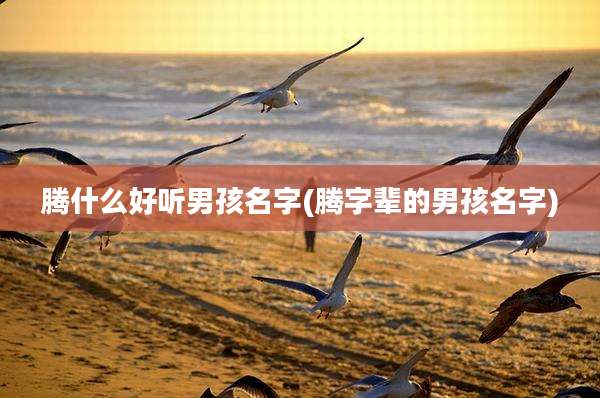 腾什么好听男孩名字(腾字辈的男孩名字)