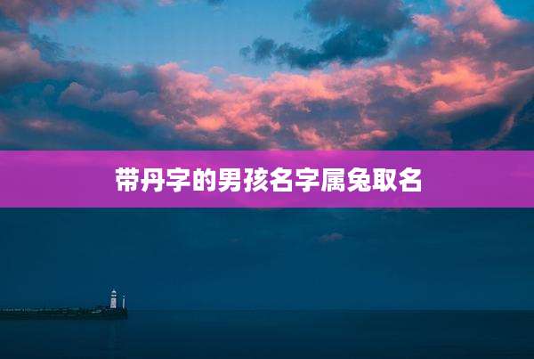 带丹字的男孩名字属兔取名