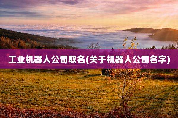 工业机器人公司取名(关于机器人公司名字)