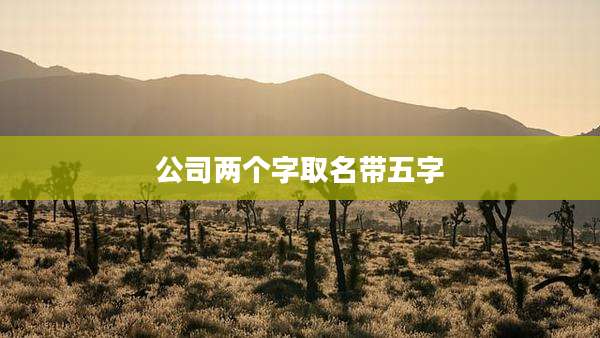 公司两个字取名带五字
