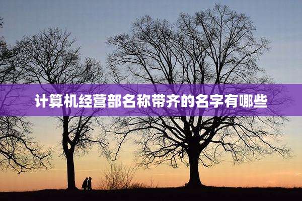 计算机经营部名称带齐的名字有哪些