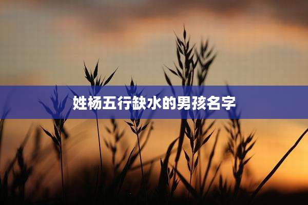姓杨五行缺水的男孩名字