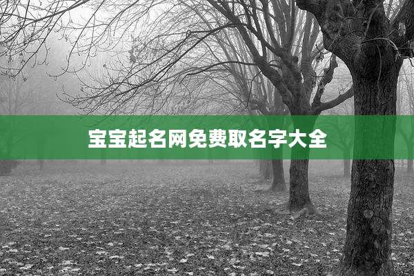 宝宝起名网免费取名字大全