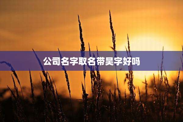 公司名字取名带昊字好吗