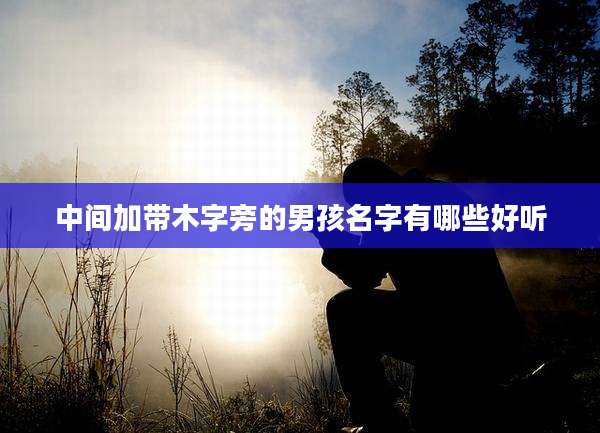 中间加带木字旁的男孩名字有哪些好听