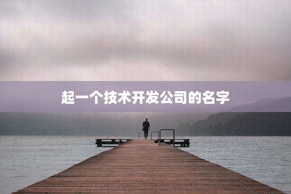 起一个技术开发公司的名字