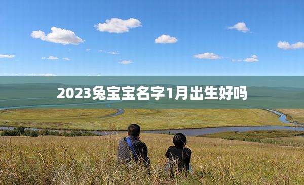 2023兔宝宝名字1月出生好吗