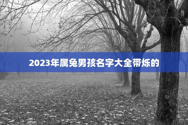 2023年属兔男孩名字大全带烁的