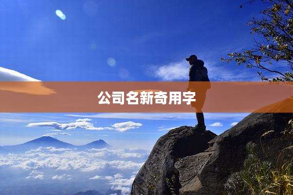 公司名新奇用字
