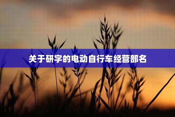 关于研字的电动自行车经营部名