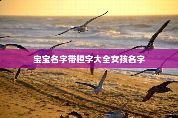 宝宝名字带桓字大全女孩名字