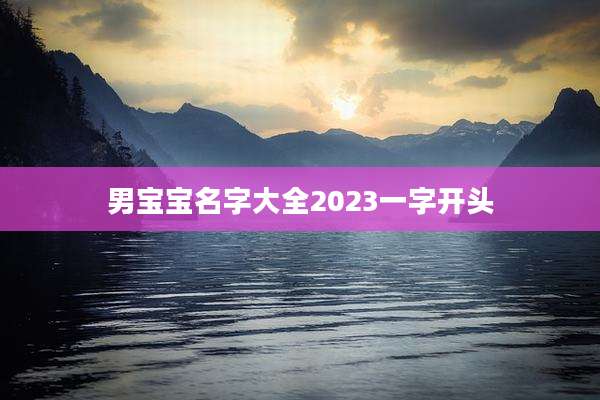 男宝宝名字大全2023一字开头