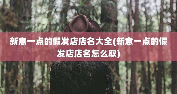 新意一点的假发店店名大全(新意一点的假发店店名怎么取)