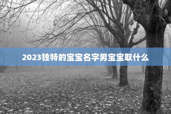 2023独特的宝宝名字男宝宝取什么