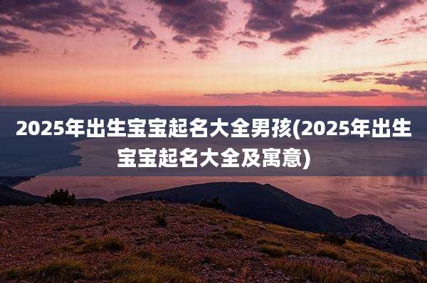 2025年出生宝宝起名大全男孩(2025年出生宝宝起名大全及寓意)
