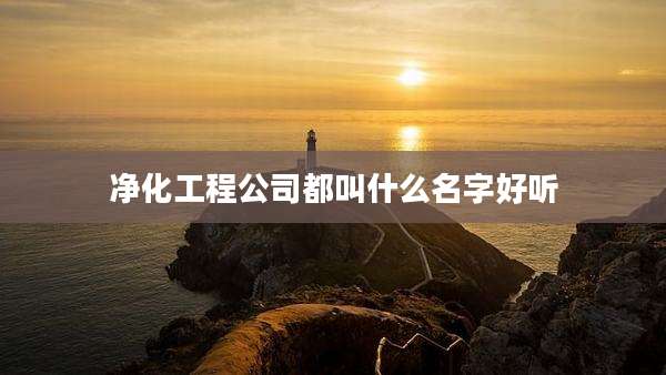 净化工程公司都叫什么名字好听
