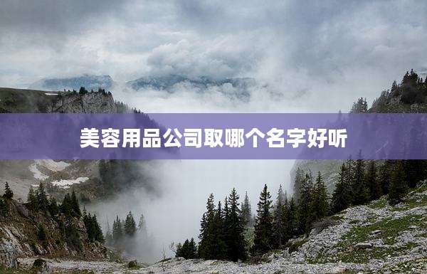 美容用品公司取哪个名字好听