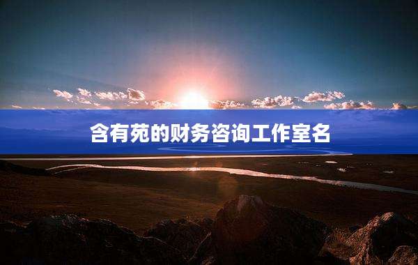 含有苑的财务咨询工作室名
