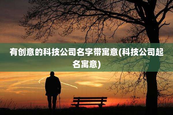 有创意的科技公司名字带寓意(科技公司起名寓意)
