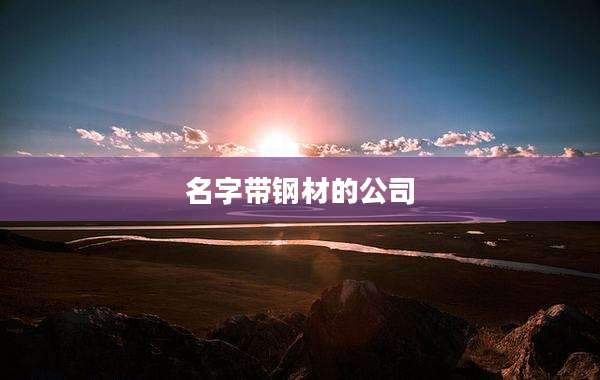 名字带钢材的公司