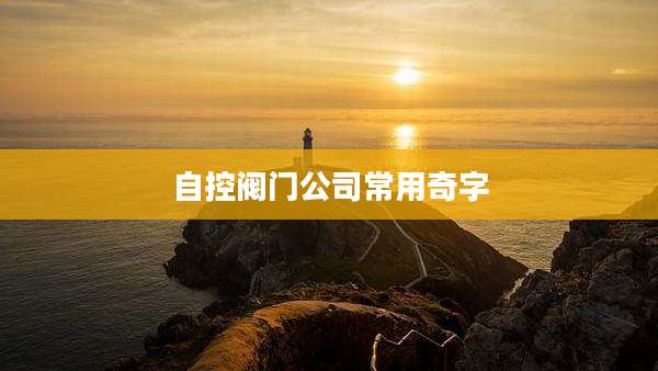 自控阀门公司常用奇字