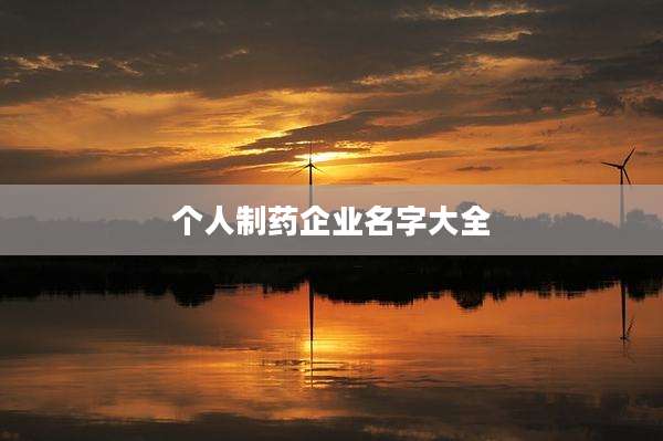 个人制药企业名字大全