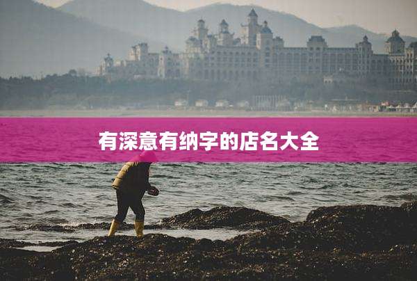 有深意有纳字的店名大全