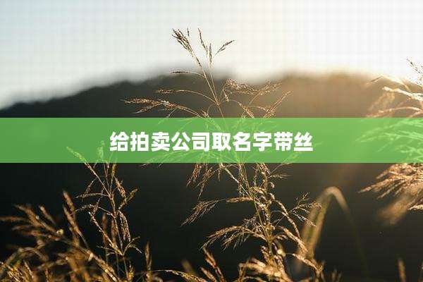 给拍卖公司取名字带丝