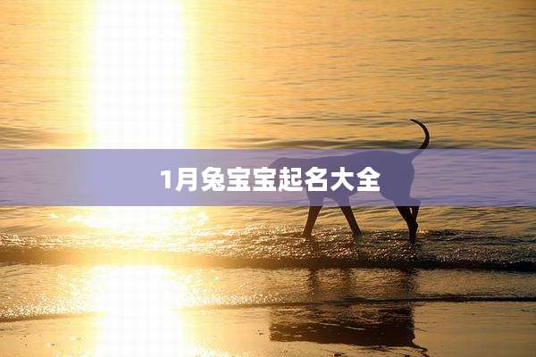 1月兔宝宝起名大全