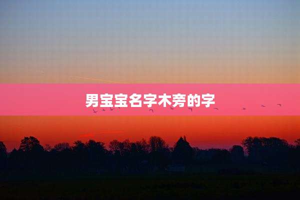 男宝宝名字木旁的字