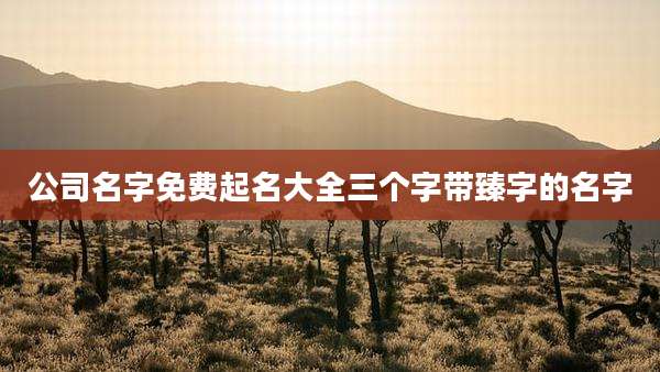 公司名字免费起名大全三个字带臻字的名字