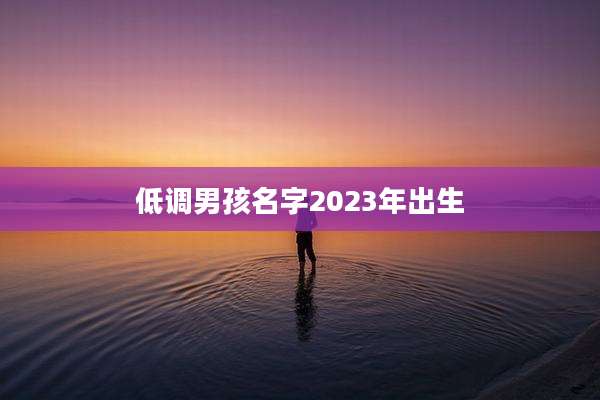 低调男孩名字2023年出生