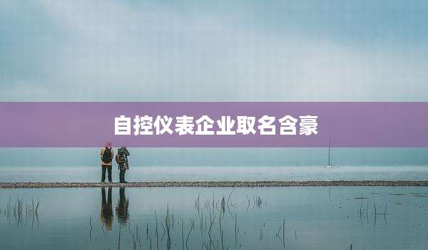 自控仪表企业取名含豪