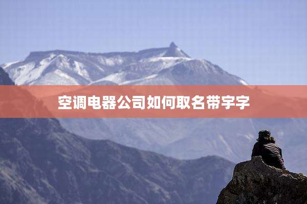 空调电器公司如何取名带宇字