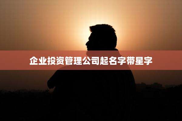 企业投资管理公司起名字带星字