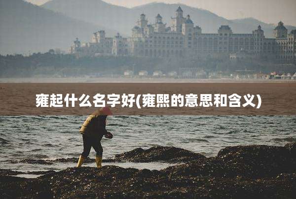 雍起什么名字好(雍熙的意思和含义)