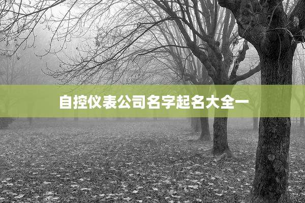 自控仪表公司名字起名大全一