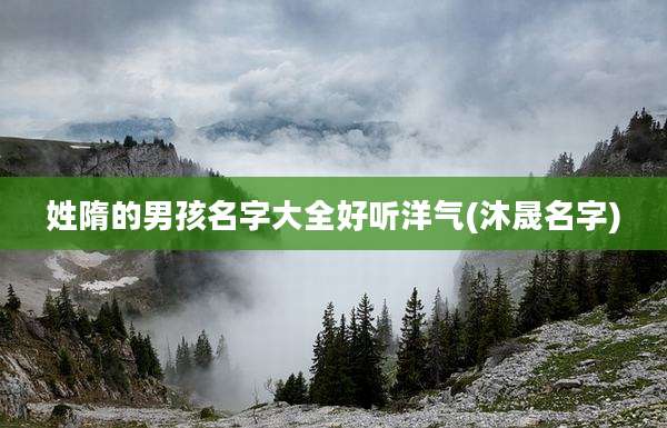 姓隋的男孩名字大全好听洋气(沐晟名字)