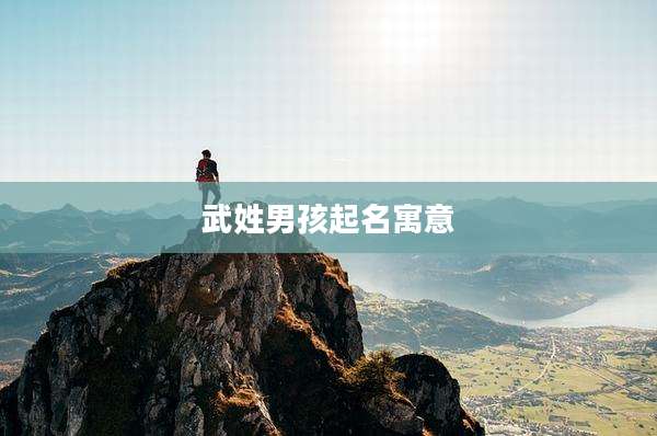 武姓男孩起名寓意