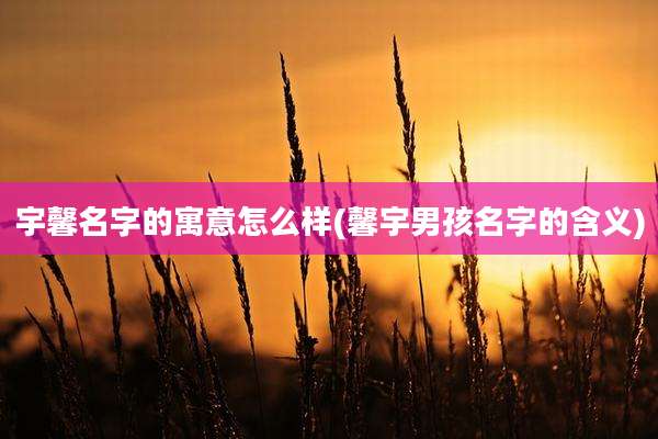 宇馨名字的寓意怎么样(馨宇男孩名字的含义)