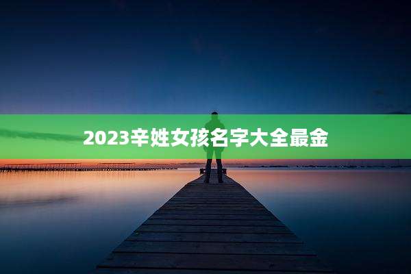 2023辛姓女孩名字大全最金