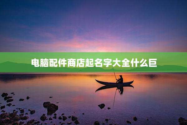电脑配件商店起名字大全什么巨