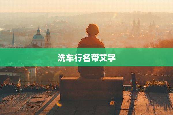 洗车行名带艾字