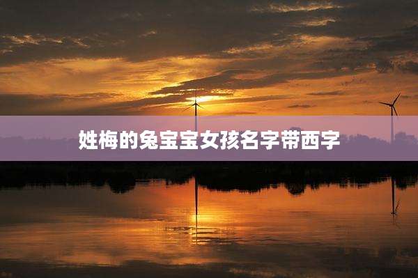 姓梅的兔宝宝女孩名字带西字