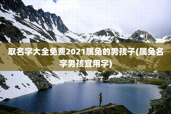 取名字大全免费2021属兔的男孩子(属兔名字男孩宜用字)