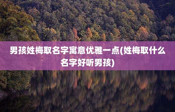 男孩姓梅取名字寓意优雅一点(姓梅取什么名字好听男孩)