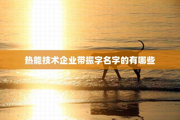 热能技术企业带振字名字的有哪些