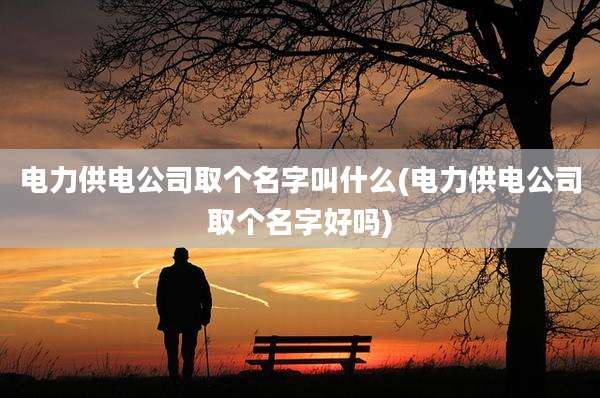 电力供电公司取个名字叫什么(电力供电公司取个名字好吗)