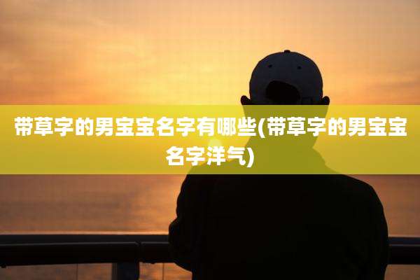 带草字的男宝宝名字有哪些(带草字的男宝宝名字洋气)