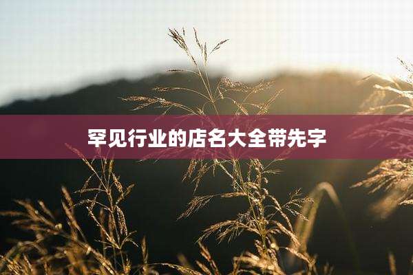 罕见行业的店名大全带先字